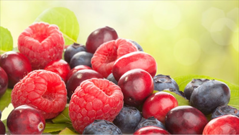 oi-deka-kaluteres-piges-antiokseidotikon