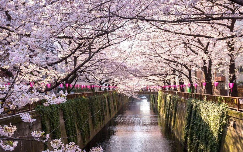 tessera-fusika-thaumata-tis-anoiksis-ston-kosmo