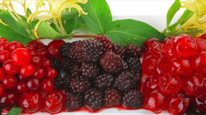 trofes-uperopla-gia-to-mualo