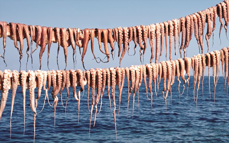olokliri-i-mukonos-se-ena-biblio-mukonos-se-ena-biblio