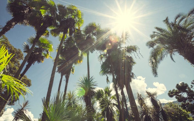 ftiaxnoume-balitsa-gia-tous-pio-ilioloustous-proorismous-tou-kosmou