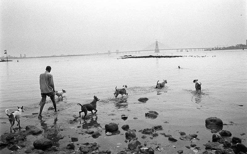 i-trilogia-tis-siopis-sto-romantso