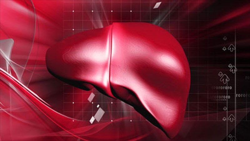 prostateuste-to-sukoti-sas-ola-osa-prepei-na-gnorizete