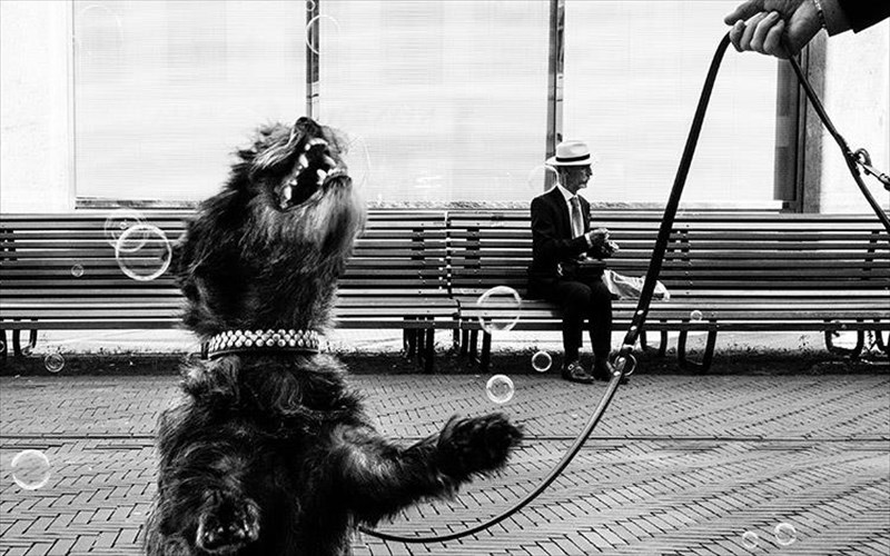 thematiki-ekthesi-fotografias-black-kai-white-me-101-fotografous-apo-olo-ton-kosmo-white-me-101-fotografous-apo-olo-ton-kosmo