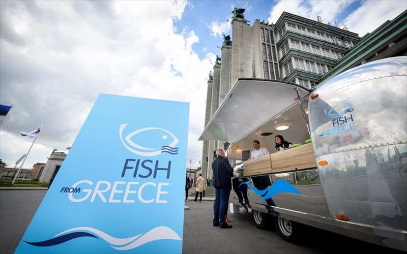 to-elliniko-psari-pige-brukselles