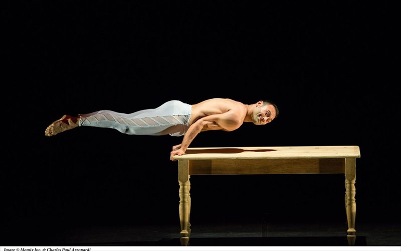 xoros-akrobatika-theatro-tsirko-sto-viva-momix-kai-i-propolisi-ksekina-propolisi-ksekina