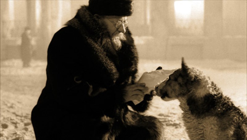 i-kardia-enos-skulou-enas-rosikos-frankestain