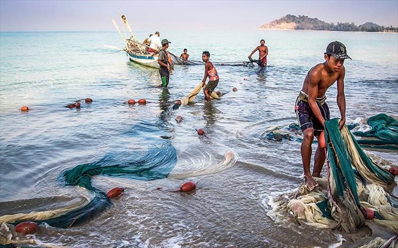 meri-oikeia-oso-kai-makrina-stis-psifides-kosmon