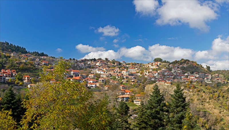 baltesiniko-arkadias-petra-kai-elata-se-olo-tous-to-megaleio