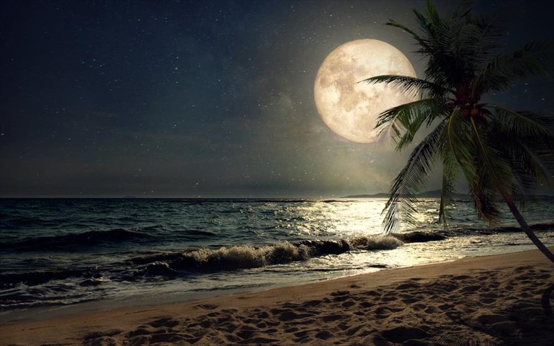 to-bolivar-beach-bar-upodexetai-tin-proti-panselino-tou-kalokairiou