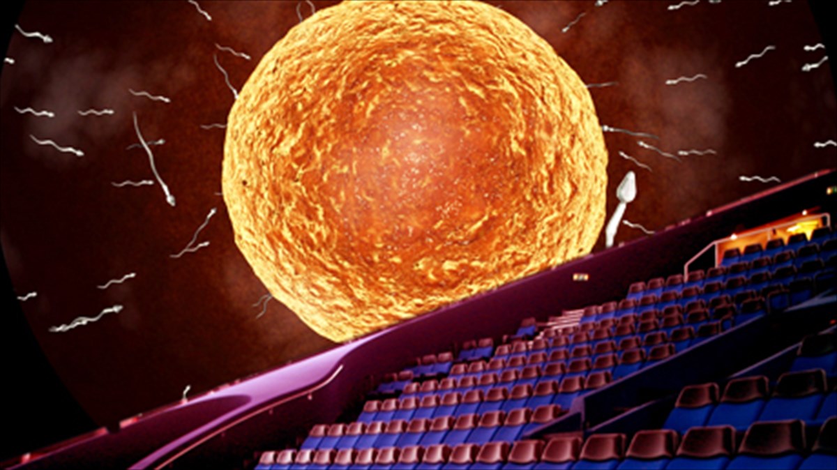 mia-monadiki-sunaulia-gia-tin-megaluteri-isos-kai-teleutaia-nuxta-tou-xronou