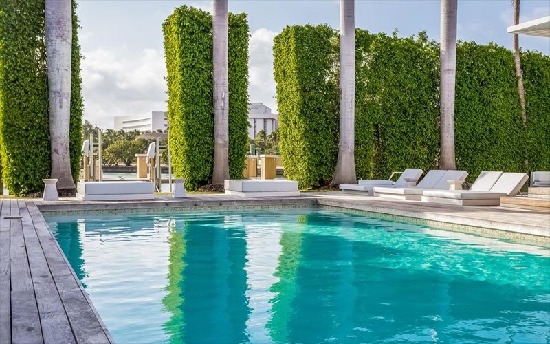 thelete-na-zisete-opos-i-shakira-shakira