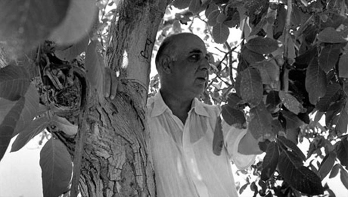 o-fotografosgiorgos-seferis