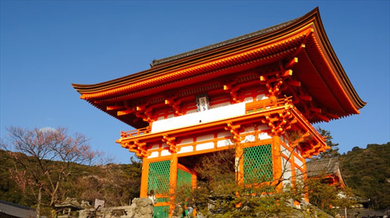 xarouki-mourakami-tzaz-romantismos-apo-tin-iaponia