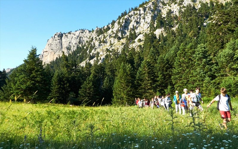 me-to-elatos-resort-ta-paidia-lene-nai-sto-bouno