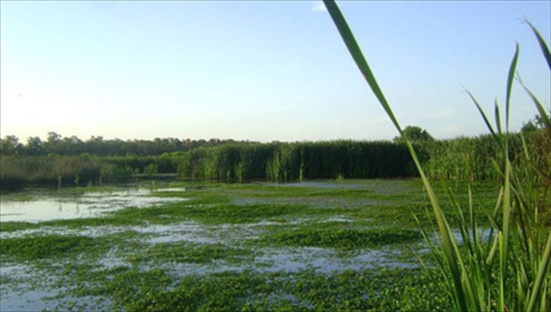 10-simantikoi-udrobiotopoi-ston-kosmo