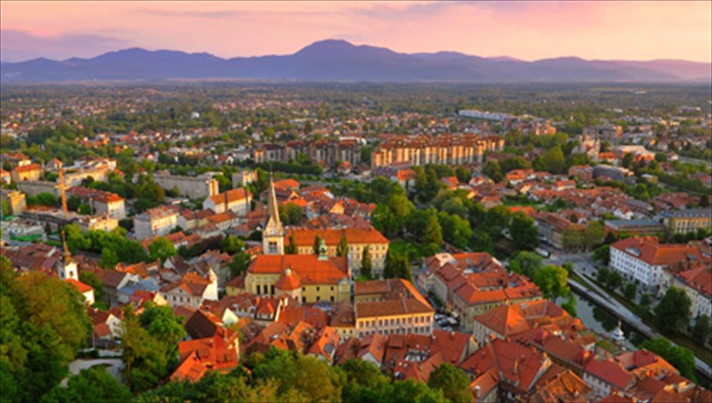 lioumpliana-mikri-se-megethos-megali-se-omorfia