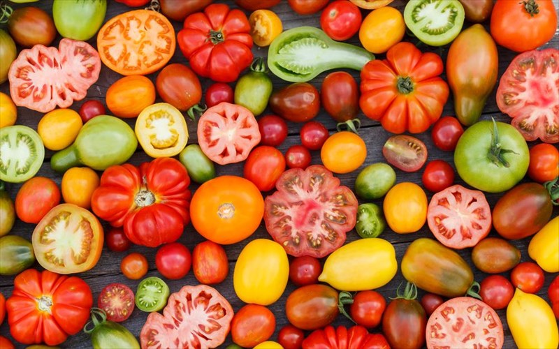 oi-kaluteres-trofes-tou-kalokairiou-gia-na-apofugete-elleipseis-kai-afudatosi