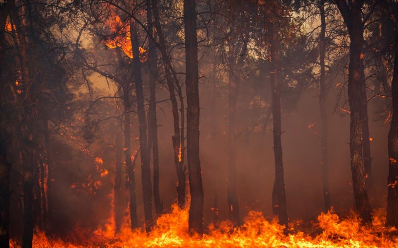 ti-prepei-na-kseroume-se-periptoseis-purkagias-gia-na-prostateutoume