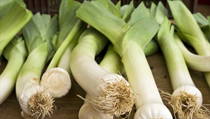 to-praso-kai-i-diatrofiki-tou-aksia-diatrofiki-tou-aksia