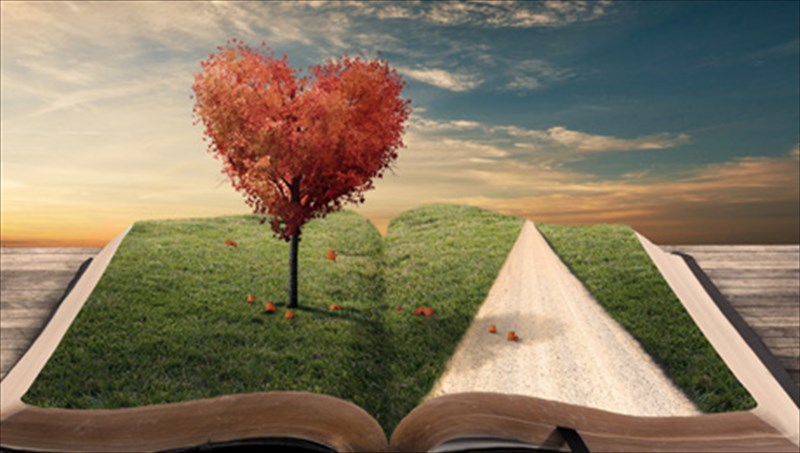 pliges-tou-fthinoporou-stin-konstantinoupoli-tou-1955