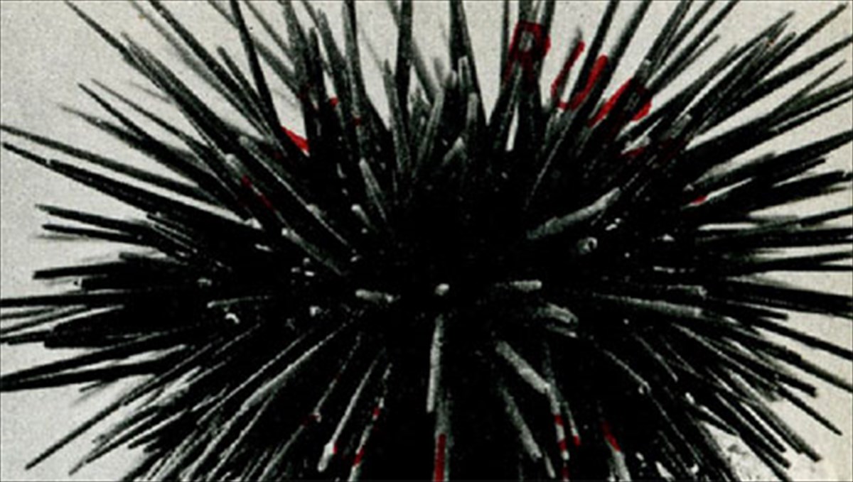 o-david-gates-nostalgei-to-parelthon