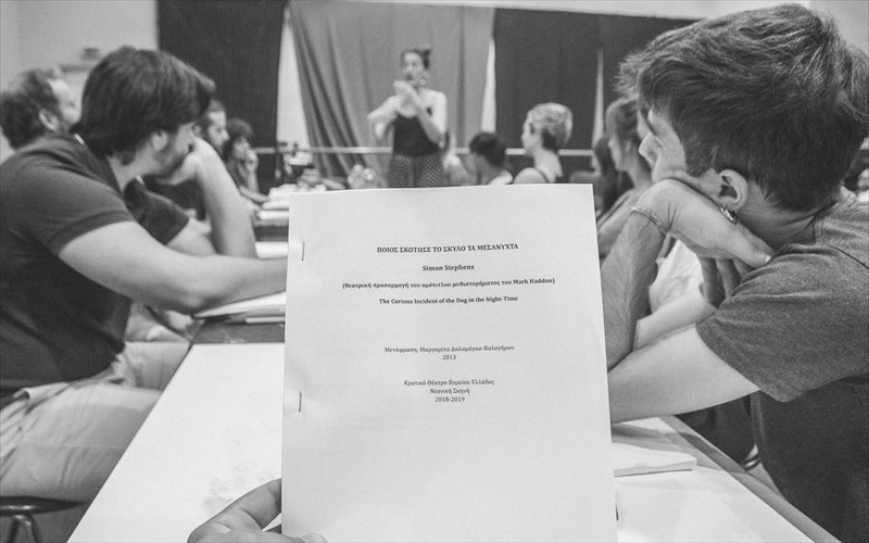 ksekinisan-oi-probes-gia-to-poios-skotose-to-skulo-ta-mesanuxta-sto-kthbe