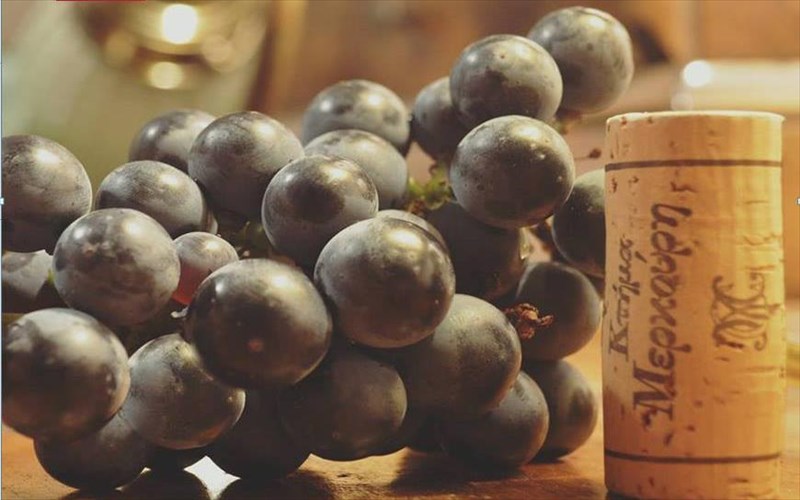 ta-cellier-kleinoun-ta-80-kai-organonoun-to-13o-cellier-wine-fair