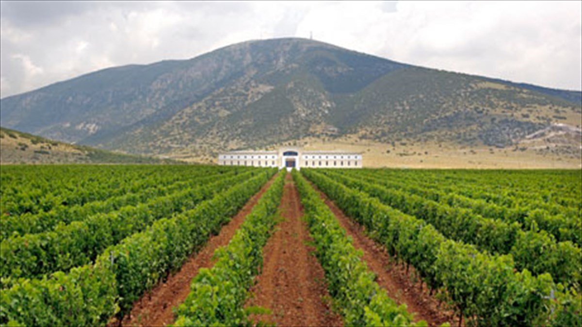 ktima-paulidi-i-dunami-tis-dramas-mesa-se-ena-mpoukali