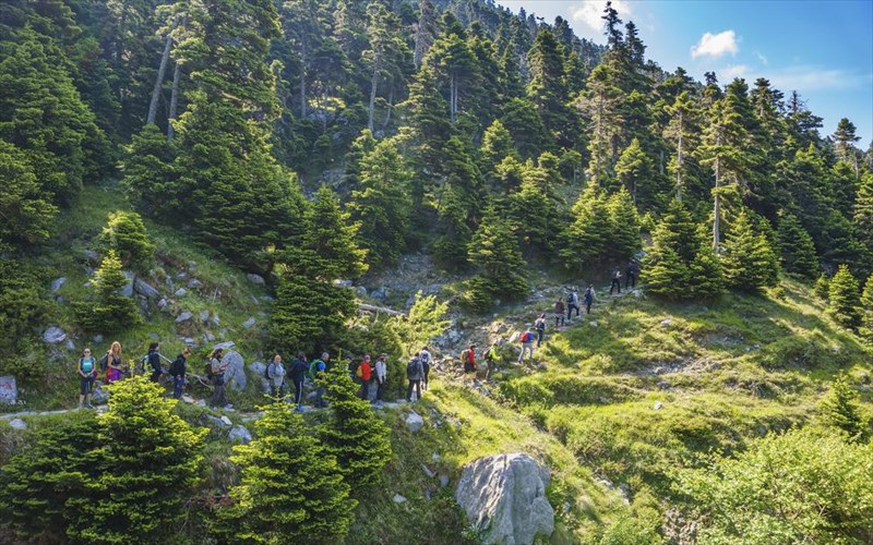 fthinoporini-pezoporia-sto-aisthitiko-dasos-stenis