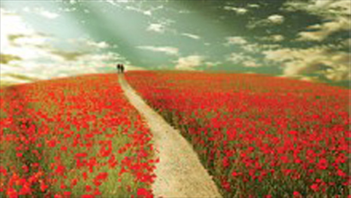 to-neo-muthistorima-tis-alkuonis-papadaki