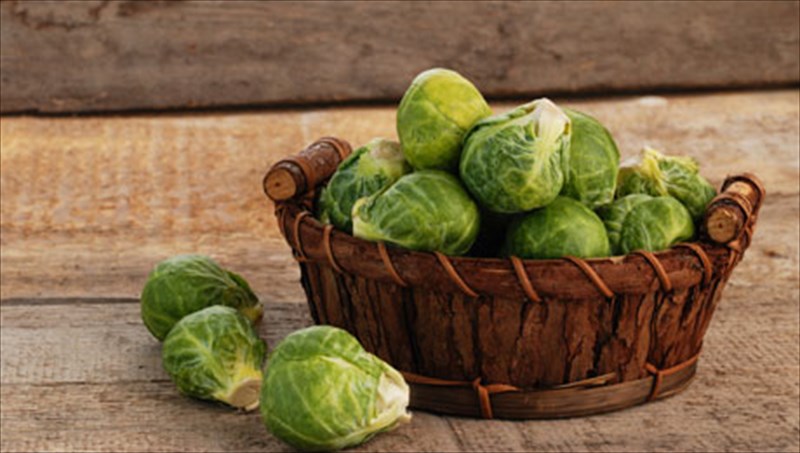 laxanakia-bruksellon-h-anuperbliti-diatrofiki-tous-aksia