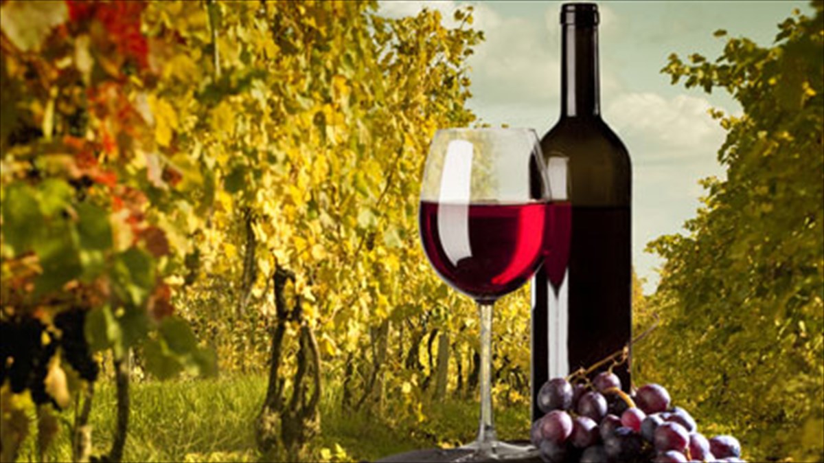 o-rodanos-kai-ta-krasia-tou-se-mia-monadiki-geusignosia