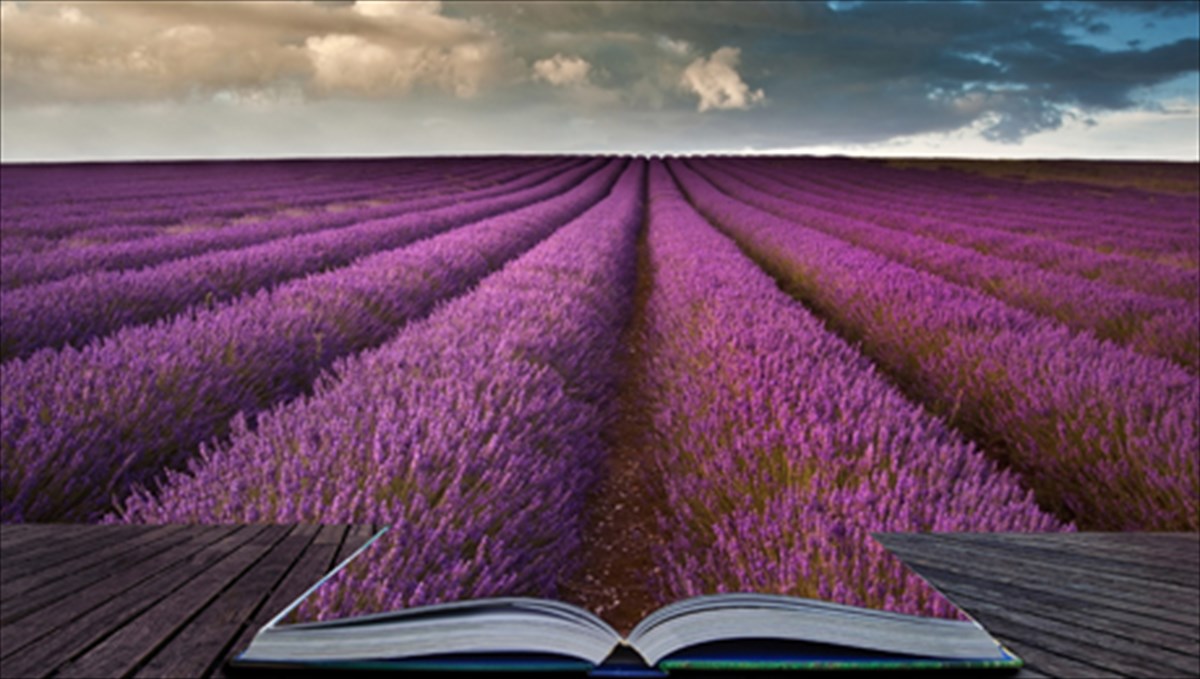 amanta-xokingk-to-teleutaio-meros-tis-trilogias-ton-tril