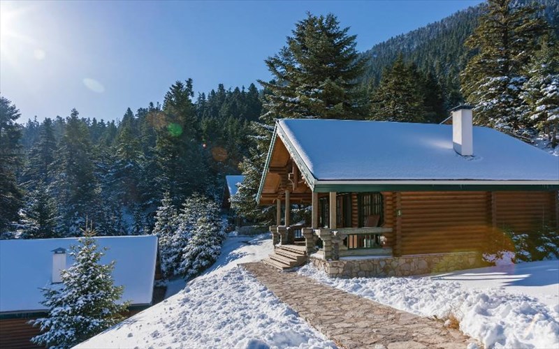 1st-xterra--elatos-sports-experience-fusi-kai-athlitismos-stin-kardia-tou-parnassou-elatos-sports-experience-fusi-kai-athlitismos-stin-kardia-tou-parnassou