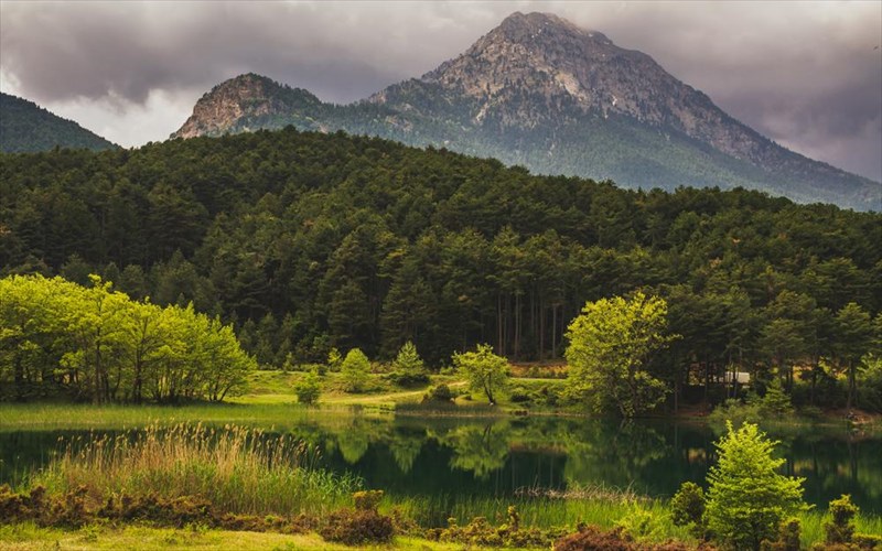 etoimazomaste-gia-tis-protes-anoiksiatikes-apodraseis