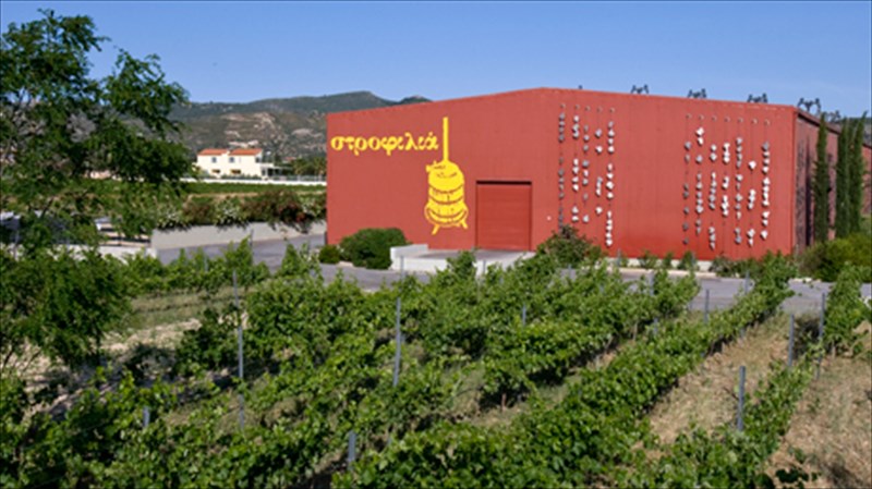 katogi-kai-strofilia-ae-periballontiki-suneidisi-kai-eklektes-etiketes-strofilia-ae-periballontiki-suneidisi-kai-eklektes-etiketes