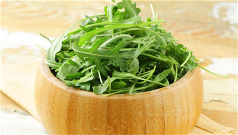 roka-pikri-alla-idiaitera-ofelimi