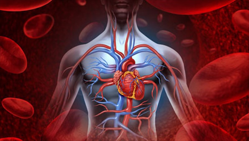 ti-xreiazetai-to-soma-mas-gia-na-einai-ugies