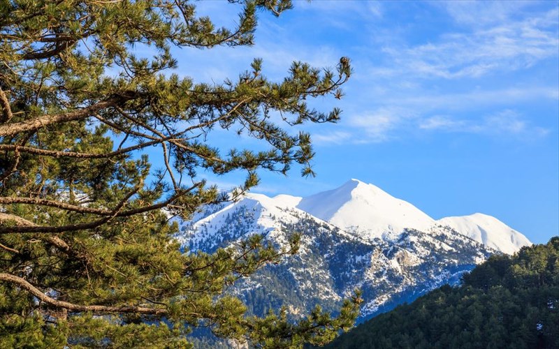 pame-gia-pezoporia-ston-taigeto