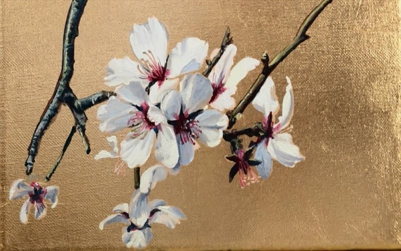 i-ierotelestia-tis-anoiksis-ston-iano