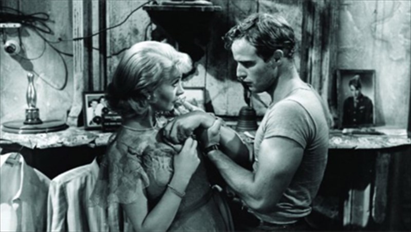 antrei-roumpliof-kai-leoforeion-o-pothos-gia-sinefil-eksodo-pothos-gia-sinefil-eksodo