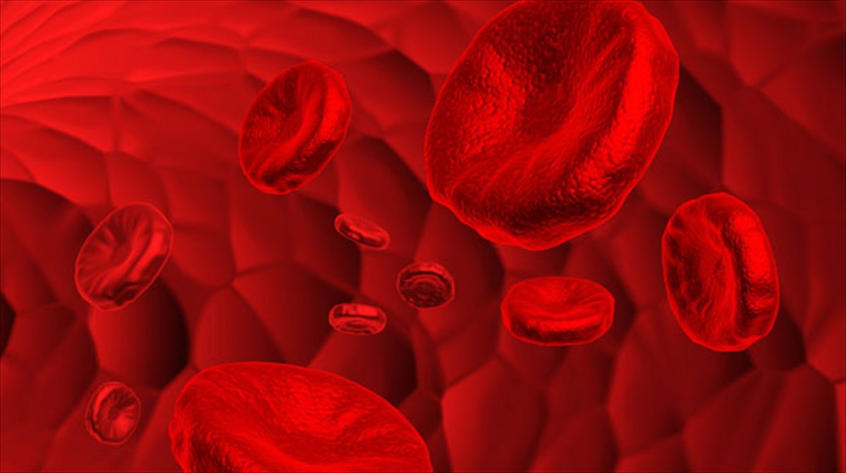 aimatologiko-test-apokaluptei-tin-pragmatiki-mas-ilikia