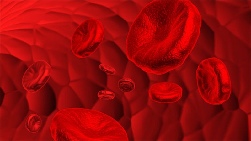 aimatologiko-test-apokaluptei-tin-pragmatiki-mas-ilikia