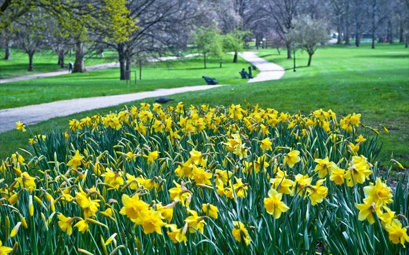 fotografiko-pasxa-se-olo-ton-kosmo