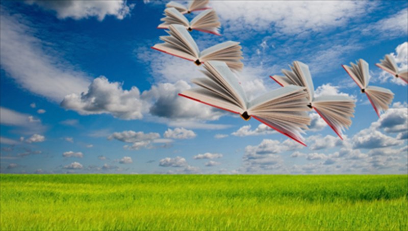 i-prosopiki-taxutita-tis-rempeka-miller