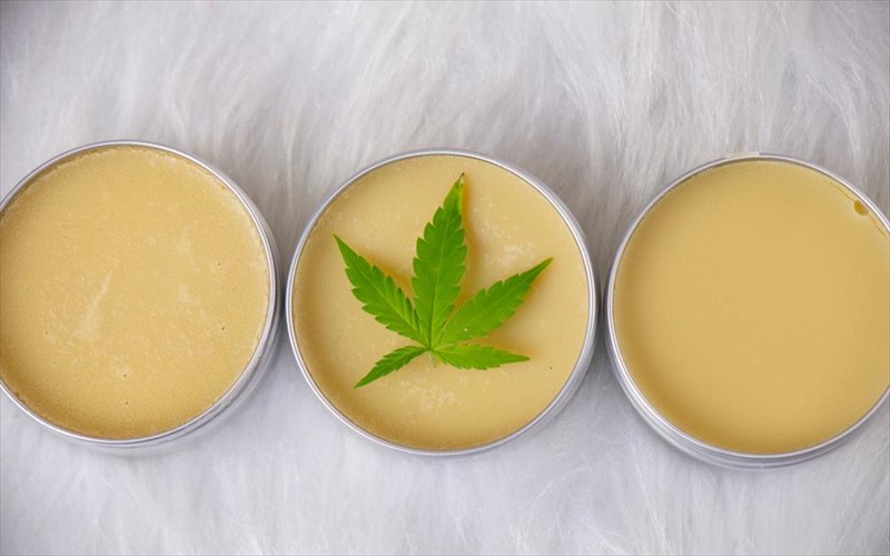 pos-i-kannabi-egine-to-pio-hot-stuff-tis-gunaikeias-omorfias-kannabi-egine-to-pio-hot-stuff-tis-gunaikeias-omorfias