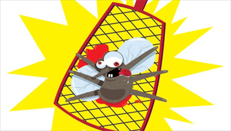 yparxei-tropos-na-ksefortothoume-ta-kounoupia-prin-kan-emfanistoun