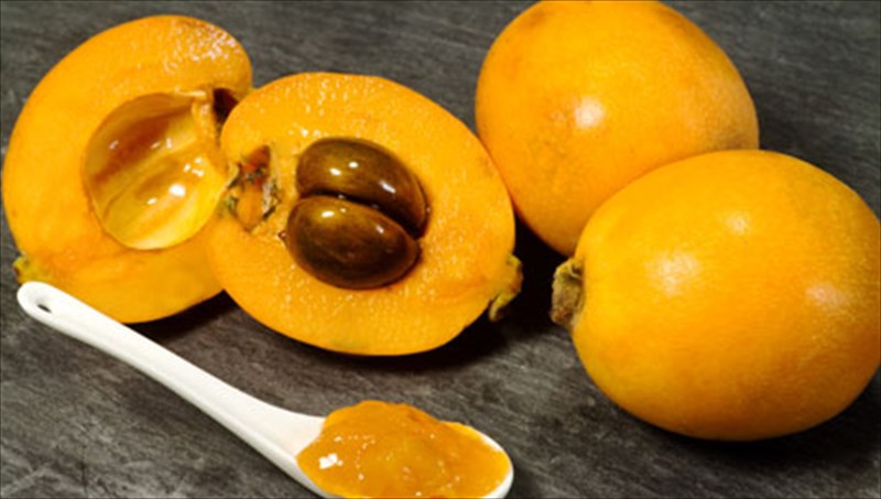 ta-mousmoula-kai-i-diatrofiki-tous-aksia-diatrofiki-tous-aksia