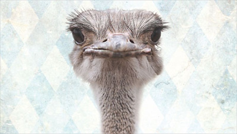 photometria-2013-i-diadrastiki-puli-tis-fotografias-diadrastiki-puli-tis-fotografias